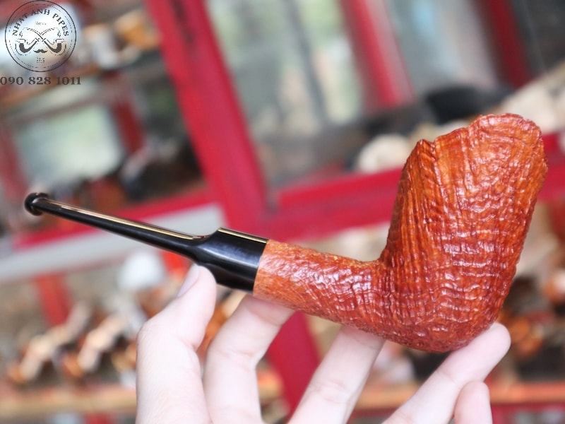 323161512_719388882866563_3165555596044945772_n