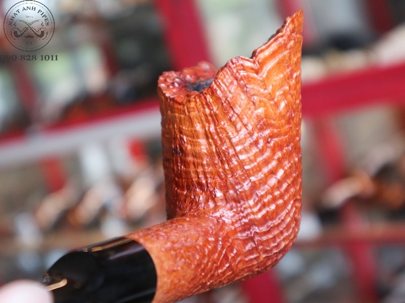 323411160_907888197033866_4419018228167116806_n