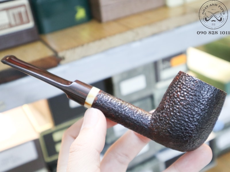 340581119_555940039962014_6248743656843758409_n