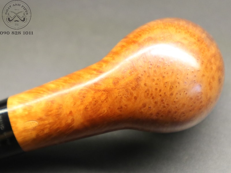 350925360_3550741228530524_8774983384196036785_n