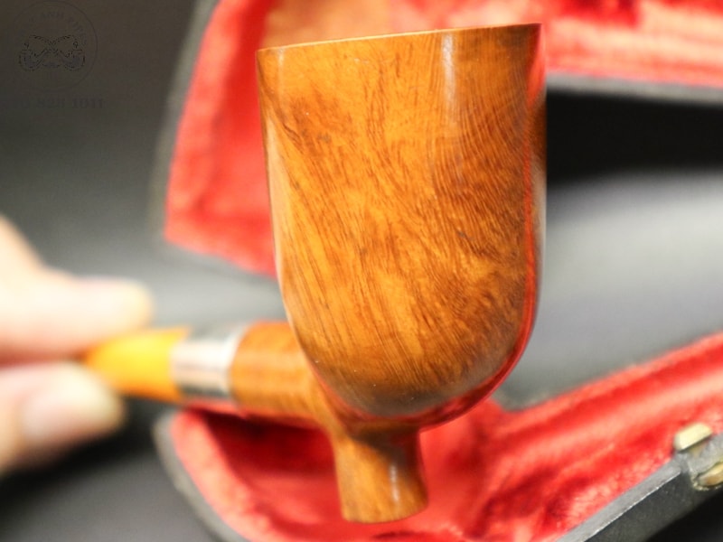 351201323_122880417485837_8488904120343826342_n