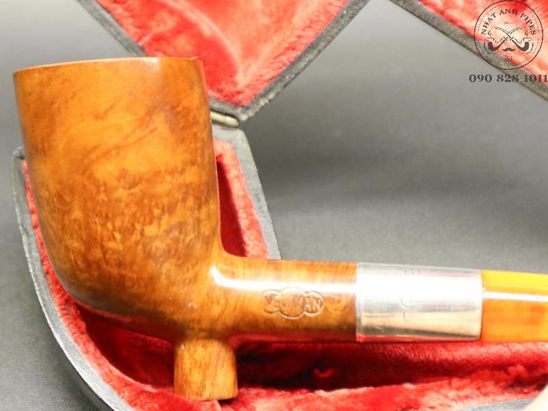 352176581_2329668850574831_267996365373578988_n