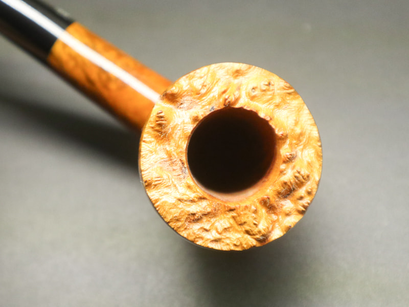 410527556_1406207783638624_894303969749216128_n