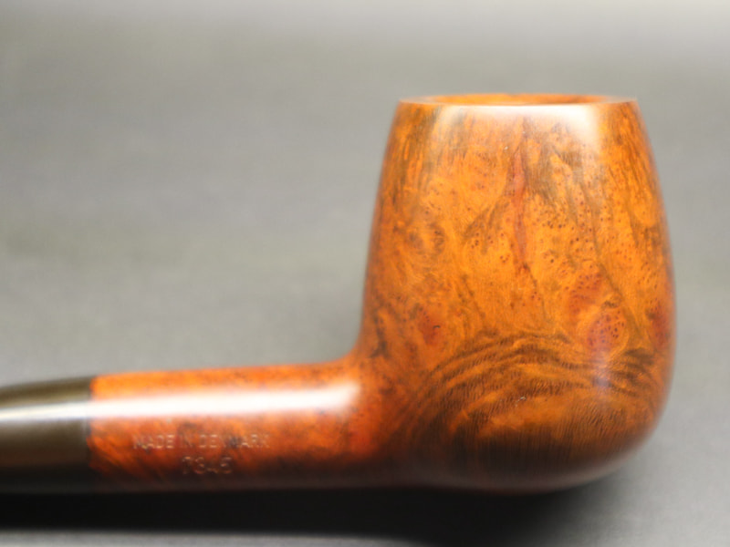 434316582_1466222297637172_7733166769576531119_n