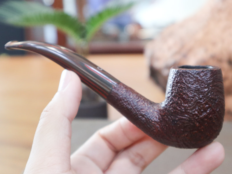 448261967_1511099239816144_4763340336815071471_n