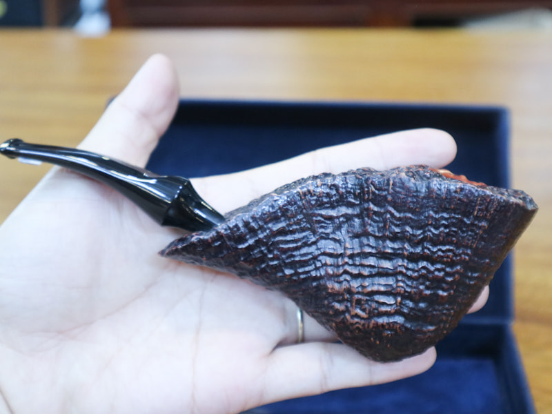 449842290_1525557508370317_1744276747586727820_n