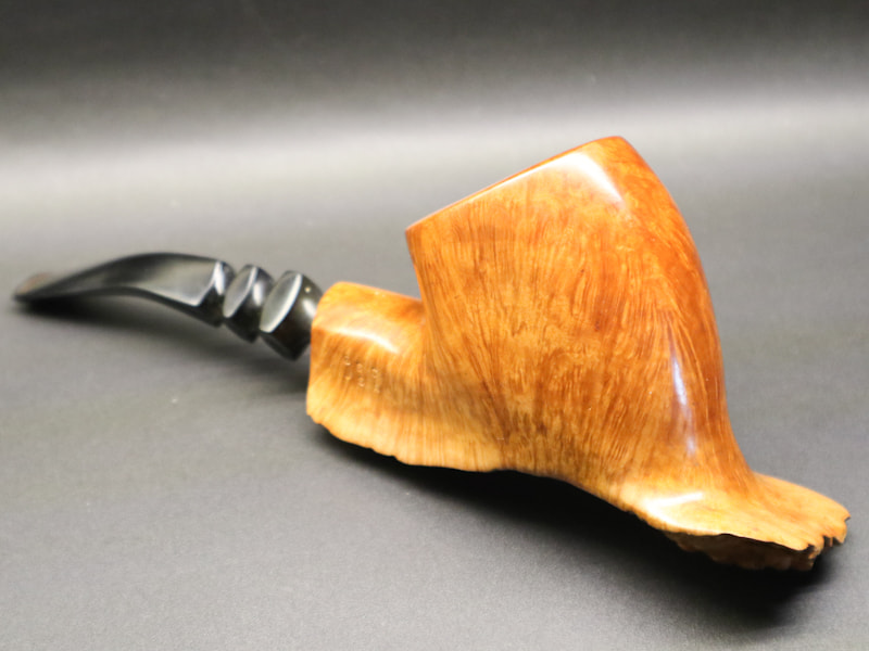 451437479_1531100967815971_2160245644804068472_n