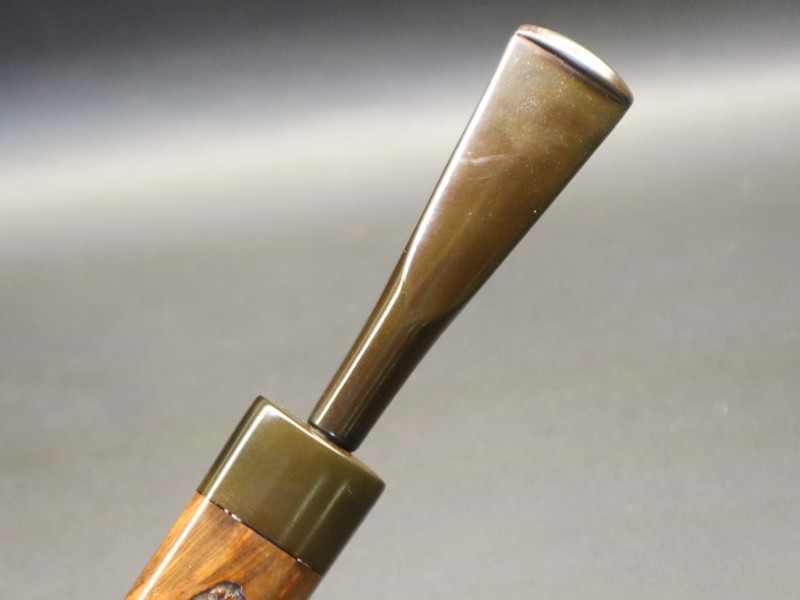 470204918_1638017767124290_3735222945212025176_n