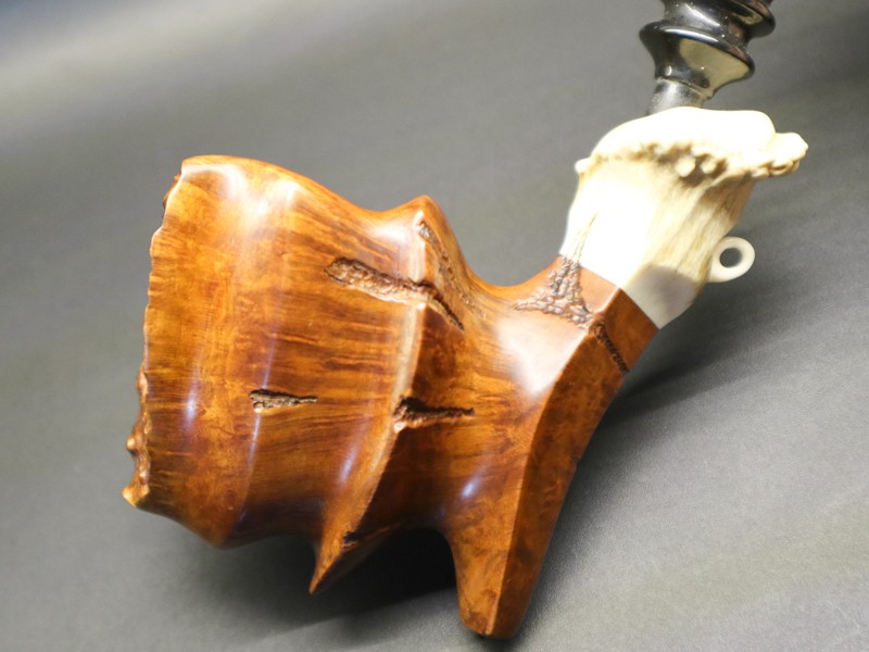 473598850_1657835471809186_6939399447008490678_n