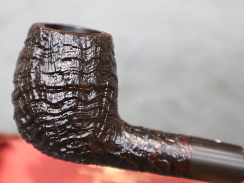 486717769_1711264323132967_8467875084776513037_n