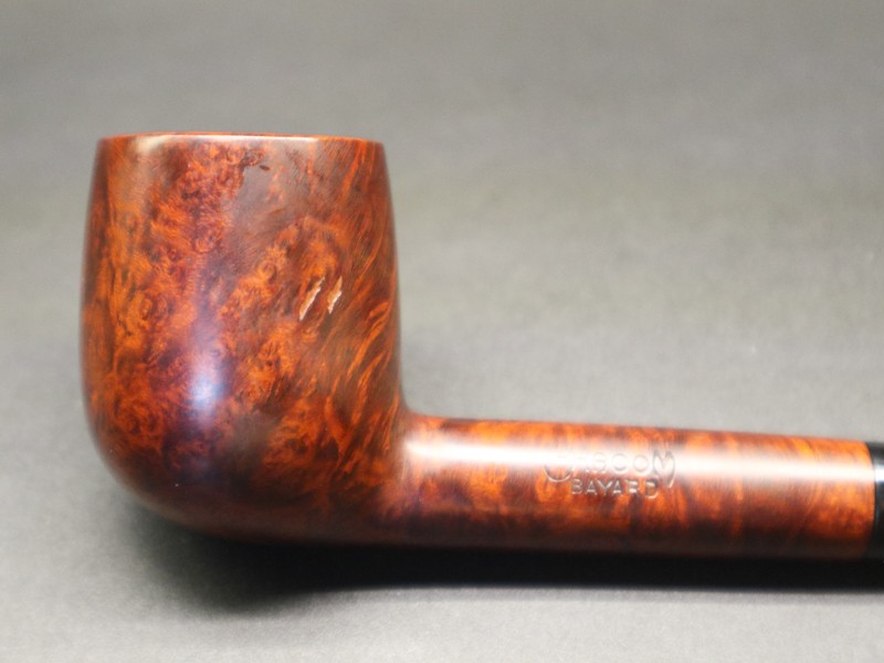 492724544_1731938417732224_8639899483363949433_n