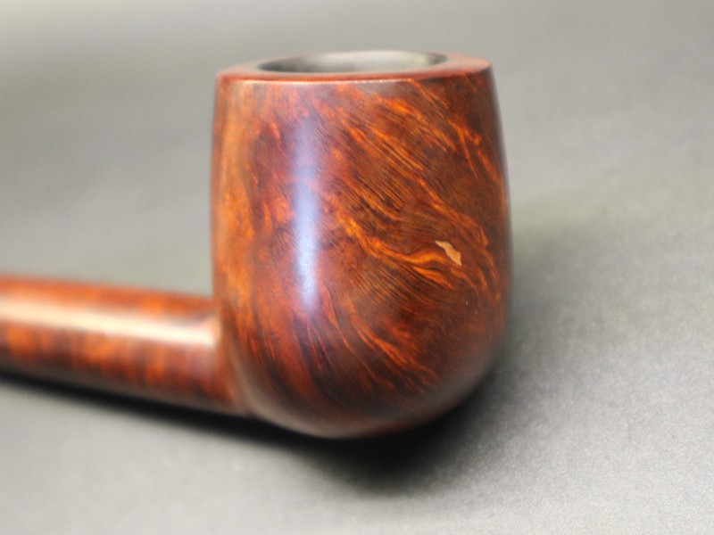 493183085_1731938384398894_2372742996916517062_n