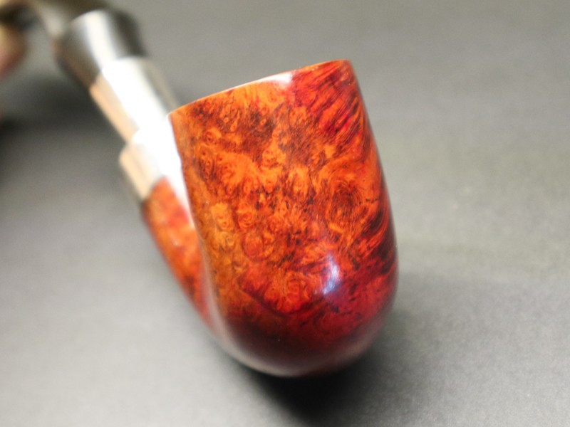 494583016_1737937643798968_8743879258755929532_n