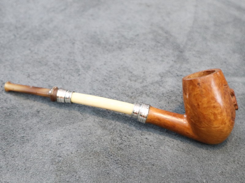 510251393_1778610199731712_706223916095727325_n