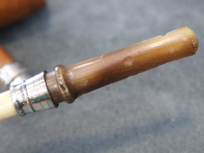 510980402_1778610526398346_5075548681228454532_n