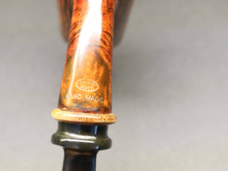 524723414_1805847880341277_1107299310716857874_n