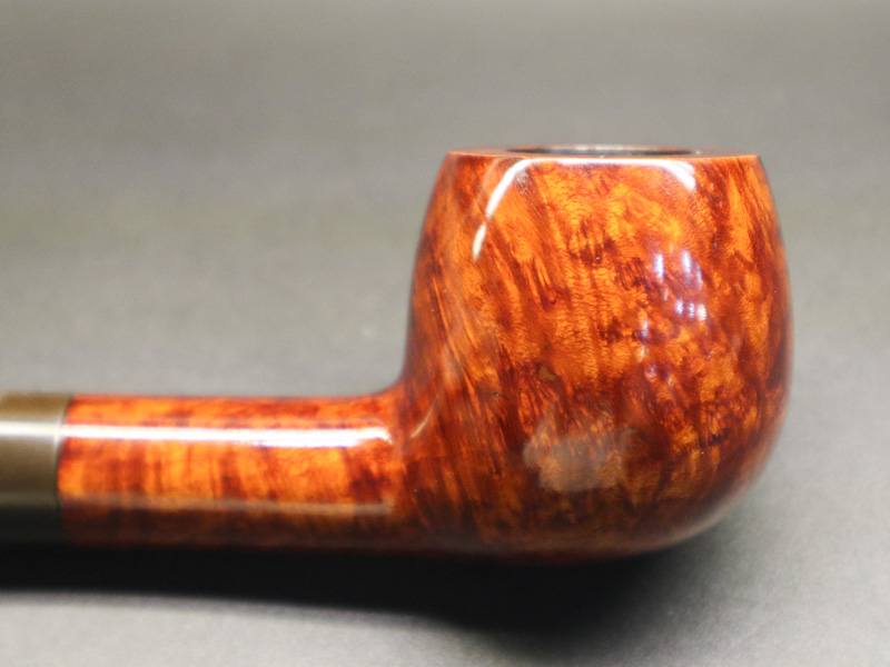 540766412_1836339220625476_4062999397558637428_n