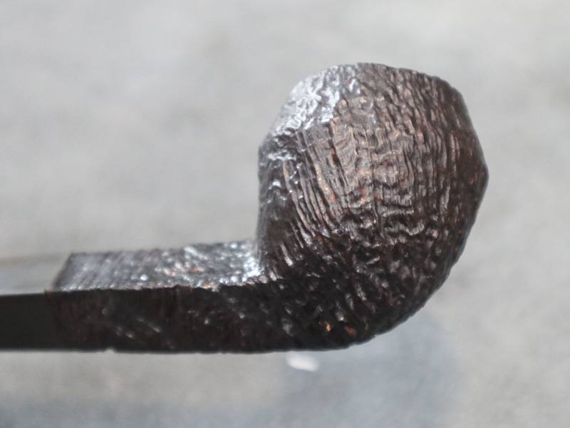 555446498_1855303552062376_4446409483503284558_n